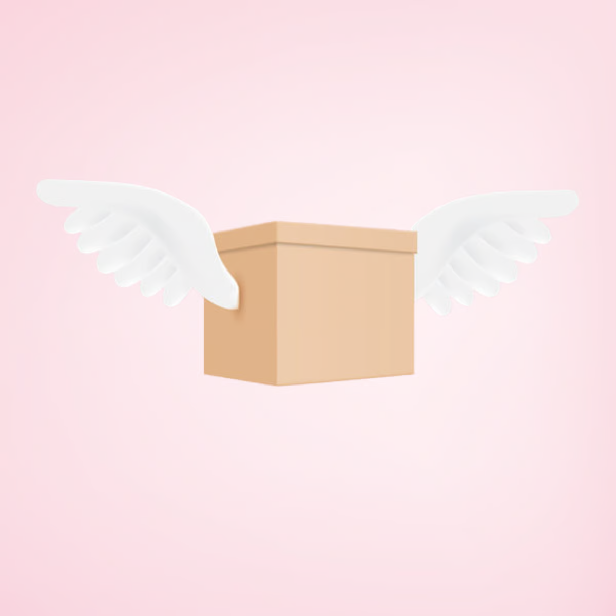 Free Express Shipping